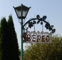 В «Вересе» прошла «Зеленая гулянка»